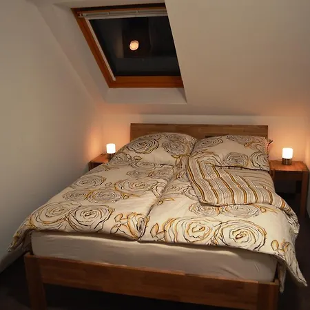 Haus Niemann Ferienwohnungen Deutscheinsiedel Extérieur photo